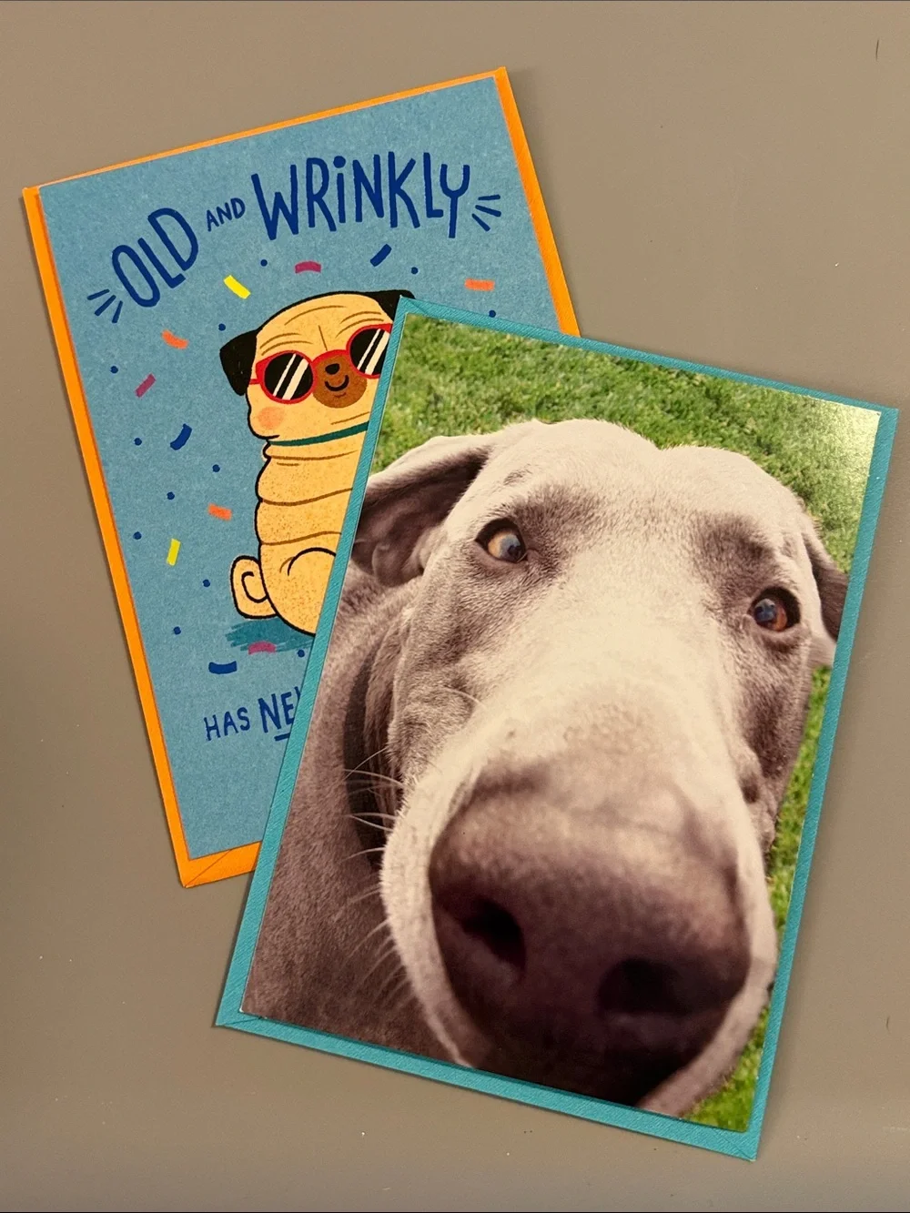 🌻 Bundle of 2 Funny Shoebox by Hallmark Birthday Cards